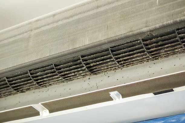 Best Affordable HVAC Duct Cleaning  in Harrison, MI